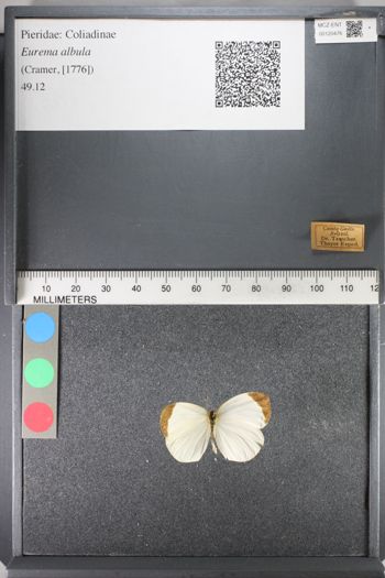 Media type: image;   Entomology 120476
